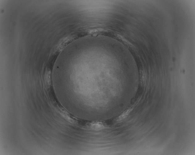 X0000074340475200608251355