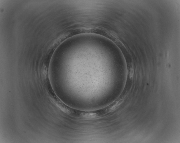 X0000074340476200608251355