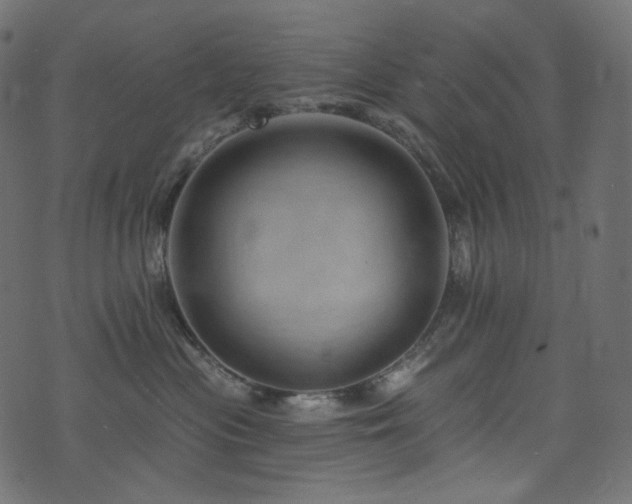 X0000074340477200608251355