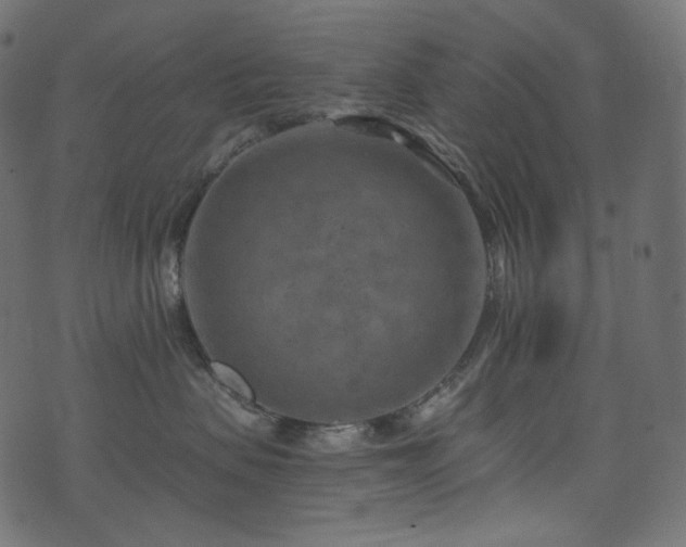 X0000074340479200608251355