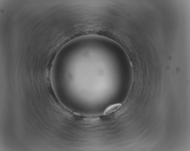 X0000074340480200608251355