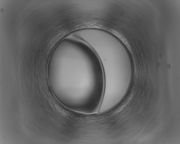 X0000074340481200608251355