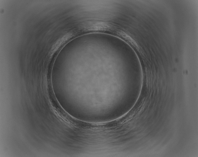 X0000074340482200608251354