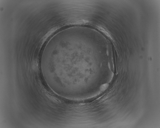 X0000074340483200608251354