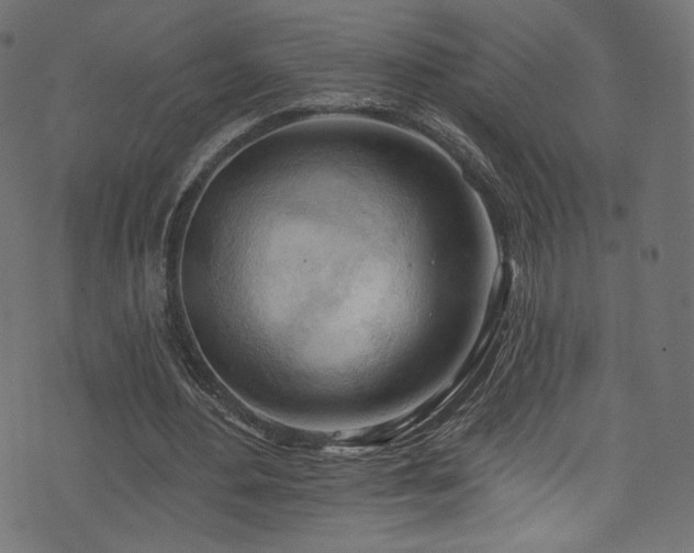 X0000074340484200608251354