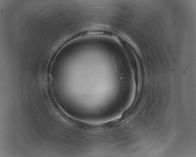 X0000074340485200608251354