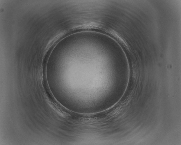 X0000074340486200608251354