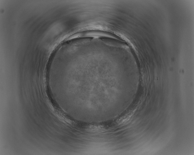 X0000074340487200608251354