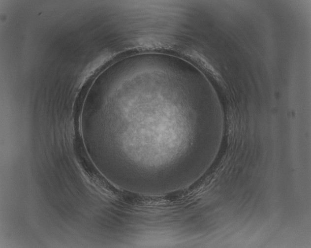 X0000074340488200608251354