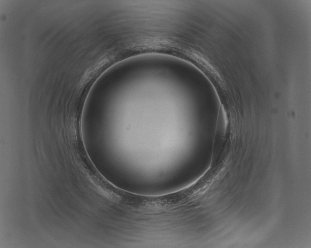 X0000074340489200608251354