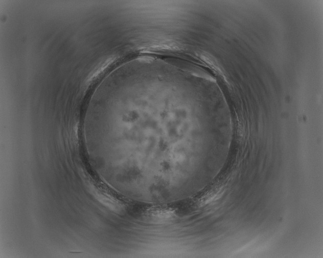 X0000074340491200608251354