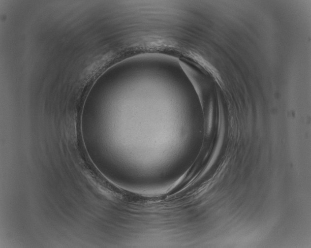 X0000074340493200608251354