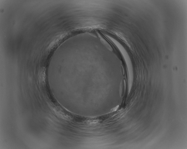 X0000074340495200608251354