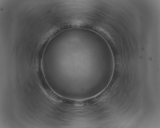 X0000074340496200608251354