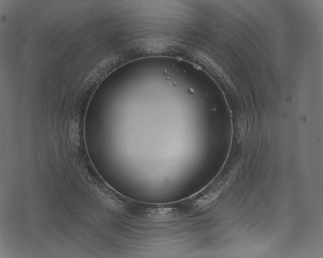 X0000074340497200608251354