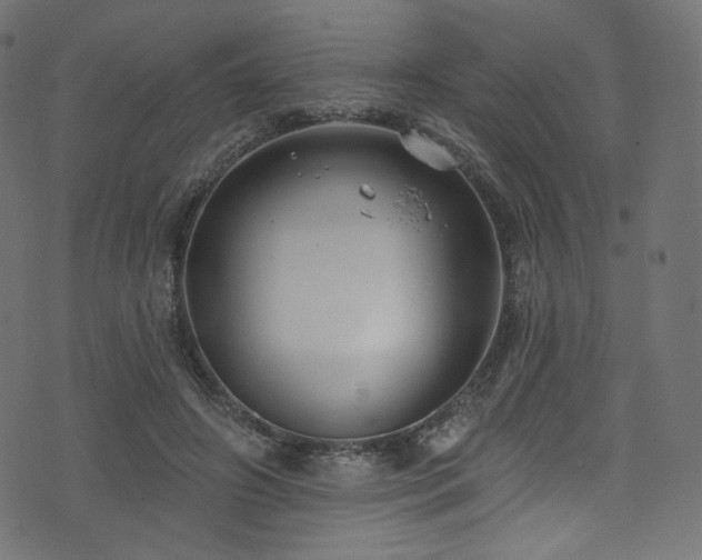 X0000074340498200608251354