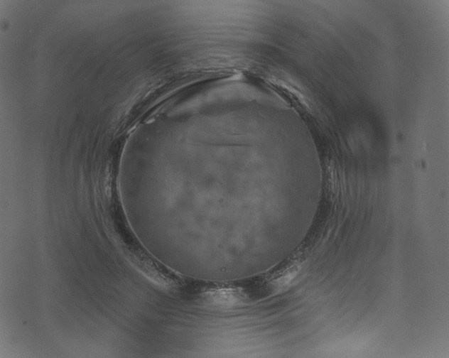 X0000074340499200608251354