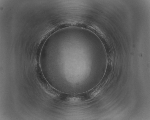 X0000074340500200608251354