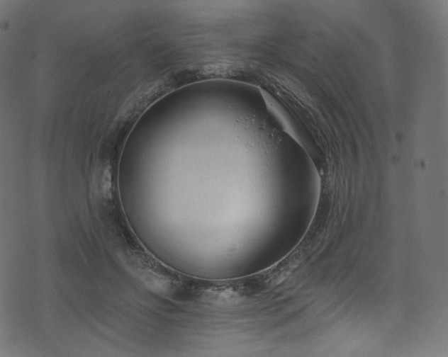 X0000074340502200608251354