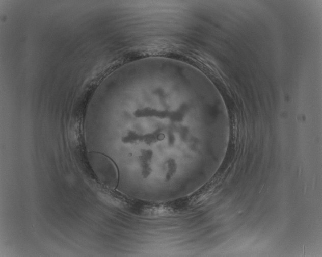 X0000074340503200608251354