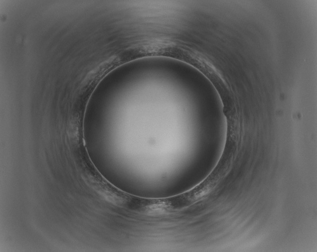 X0000074340505200608251354