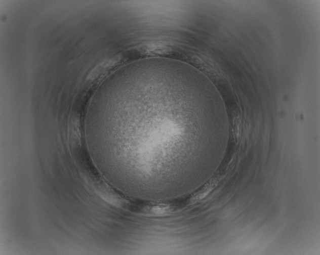 X0000074340506200608251354