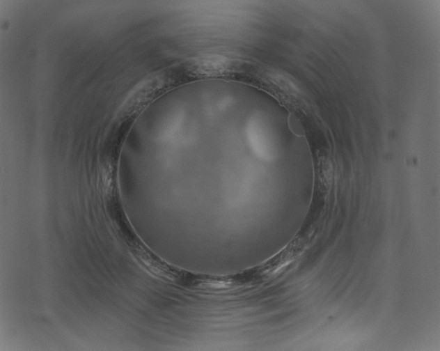 X0000074340507200608251354