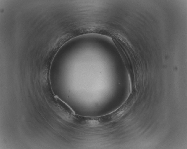 X0000074340509200608251354