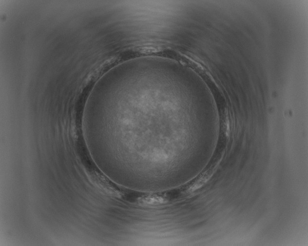 X0000074340512200608251354