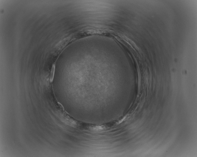 X0000074340513200608251354