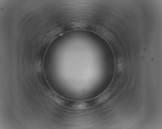 X0000074340514200608251354