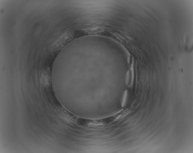 X0000074340515200608251354