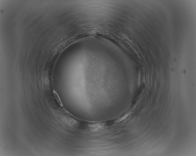 X0000074340516200608251354