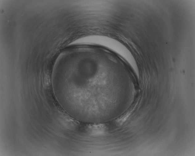 X0000074340517200608251354