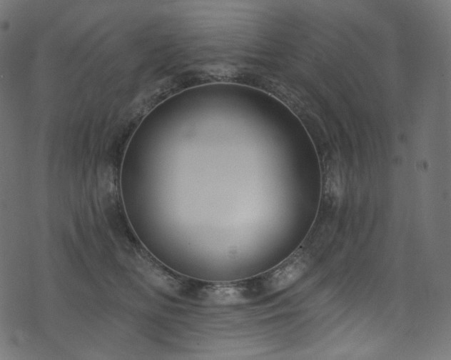 X0000074340518200608251354