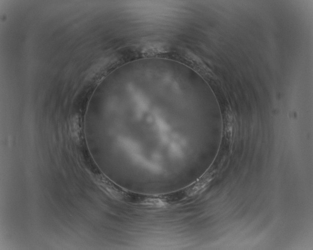 X0000074340519200608251354