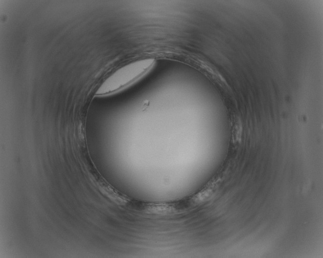 X0000074340521200608251354