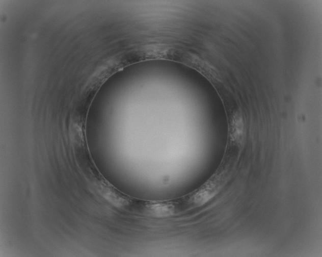 X0000074340522200608251354