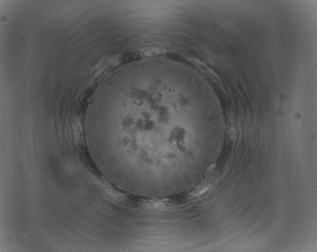 X0000074340523200608251354