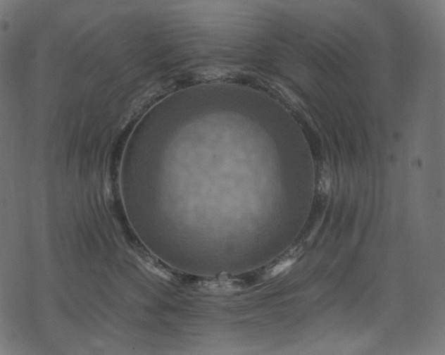 X0000074340524200608251354