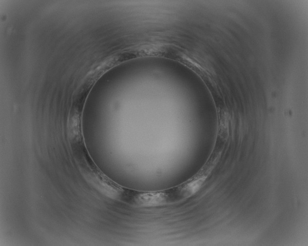 X0000074340526200608251354