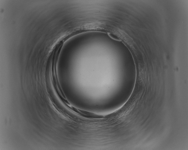 X0000074340530200608251353