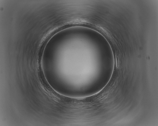 X0000074340531200608251353