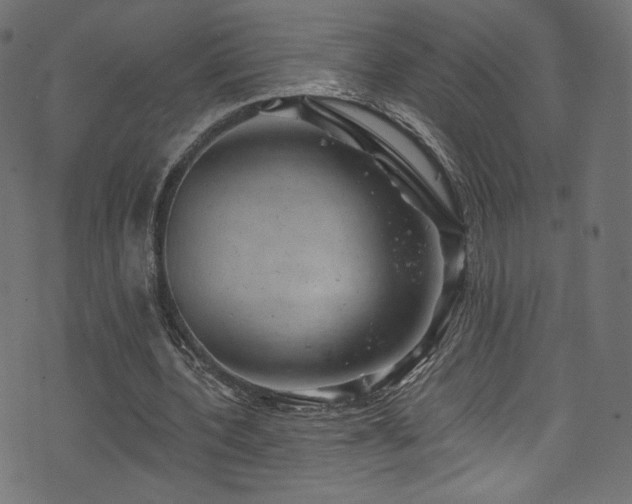 X0000074340532200608251353