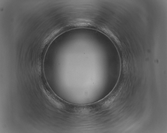 X0000074340533200608251353