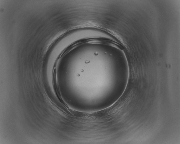 X0000074340535200608251353