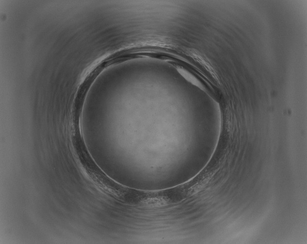 X0000074340536200608251353