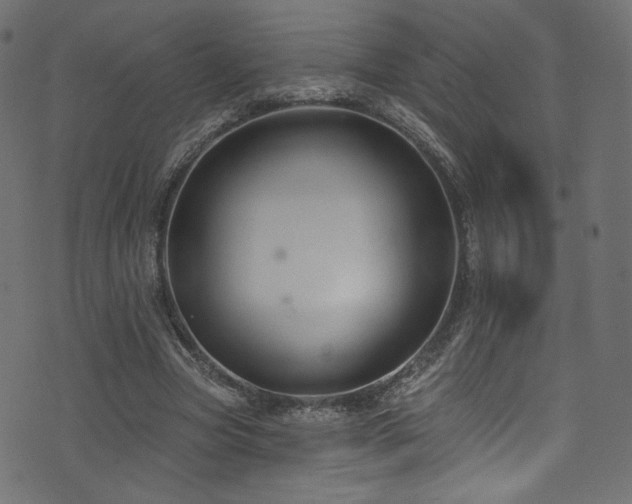 X0000074340537200608251353