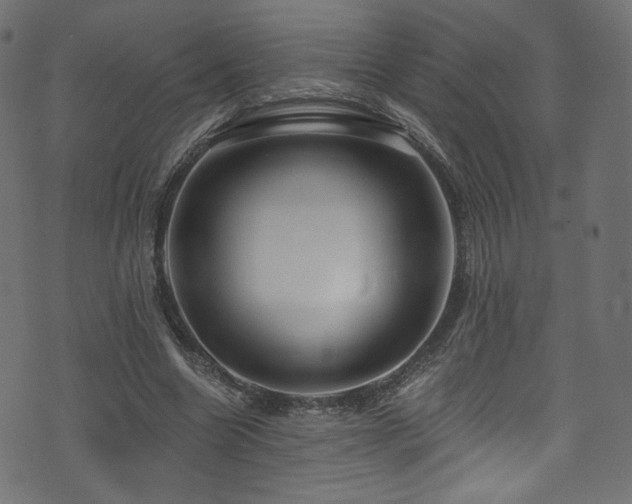 X0000074340538200608251353