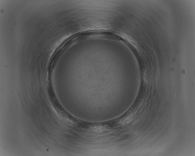 X0000074340540200608251353